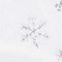 Covoras brad de Craciun, blana alba cu fulgi de nea argintii, 90 m, Vivo CTS90